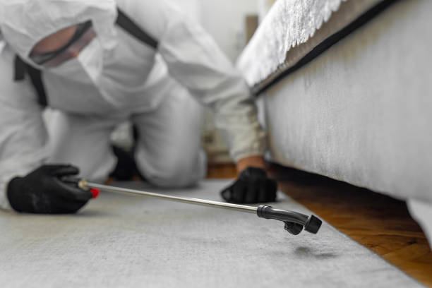 Professional Mosquito Control technician working in Cologne, NJ
