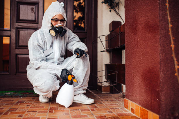 Reliable Mosquito Control contractor in Cologne, NJ by Nex Pest Control